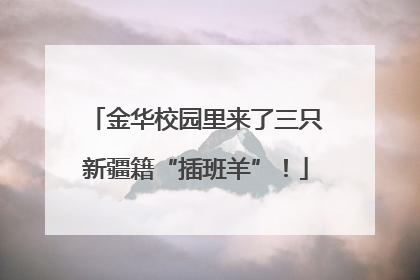 金华校园里来了三只新疆籍“插班羊”！