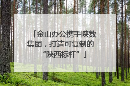 金山办公携手陕数集团，打造可复制的“陕西标杆”
