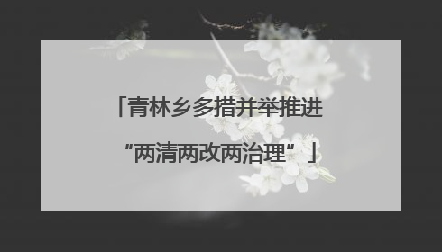 青林乡多措并举推进“两清两改两治理”