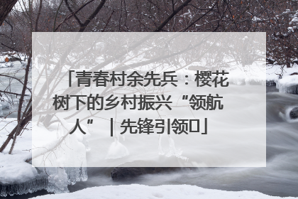 青春村余先兵：樱花树下的乡村振兴“领航人”｜先锋引领⑪