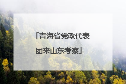 青海省党政代表团来山东考察