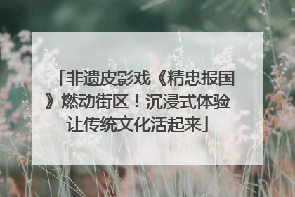 非遗皮影戏《精忠报国》燃动街区！沉浸式体验让传统文化活起来