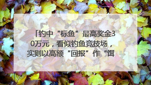钓中“标鱼”最高奖金30万元，看似钓鱼竞技场，实则以高额“回报”作“饵”……｜今晚九点半