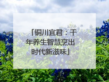 铜川宜君：千年养生智慧烹出时代新滋味