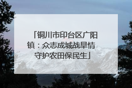 铜川市印台区广阳镇：众志成城战旱情 守护农田保民生