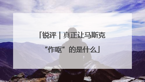 锐评｜真正让马斯克“作呕”的是什么