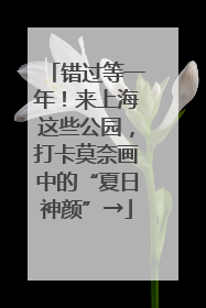 错过等一年！来上海这些公园，打卡莫奈画中的“夏日神颜”→
