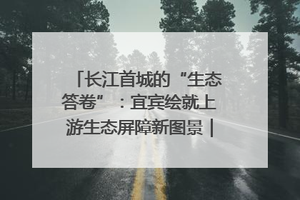 长江首城的“生态答卷”：宜宾绘就上游生态屏障新图景｜中华环保世纪行