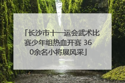 长沙市十一运会武术比赛少年组热血开赛 360余名小将展风采