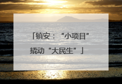 镇安：“小项目”撬动“大民生”