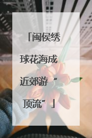 闽侯绣球花海成近郊游“顶流”