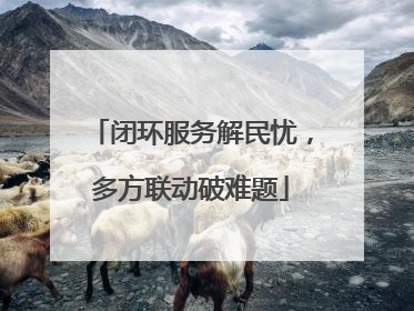 闭环服务解民忧，多方联动破难题