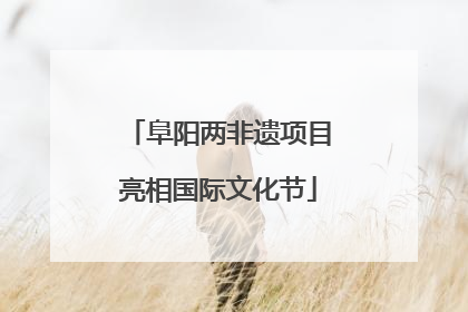 阜阳两非遗项目亮相国际文化节