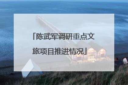 陈武军调研重点文旅项目推进情况