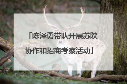 陈泽勇带队开展苏陕协作和招商考察活动