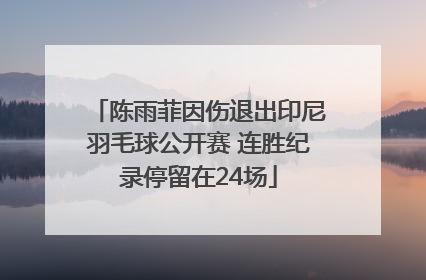 陈雨菲因伤退出印尼羽毛球公开赛 连胜纪录停留在24场