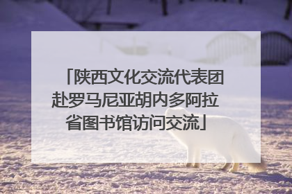陕西文化交流代表团赴罗马尼亚胡内多阿拉省图书馆访问交流