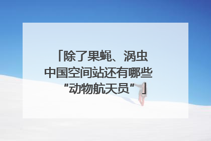 除了果蝇、涡虫 中国空间站还有哪些“动物航天员”