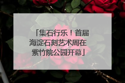 集石行乐！首届海淀石刻艺术周在紫竹院公园开幕