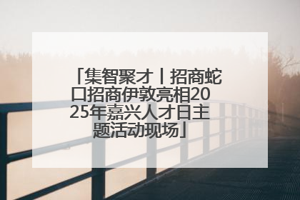 集智聚才丨招商蛇口招商伊敦亮相2025年嘉兴人才日主题活动现场