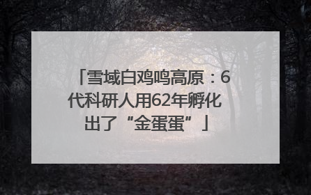 雪域白鸡鸣高原：6代科研人用62年孵化出了“金蛋蛋”