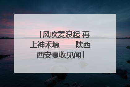 风吹麦浪起 再上神禾塬——陕西西安夏收见闻