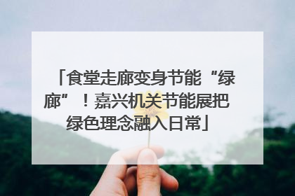 食堂走廊变身节能“绿廊”！嘉兴机关节能展把绿色理念融入日常