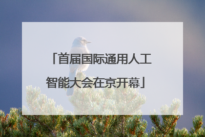 首届国际通用人工智能大会在京开幕