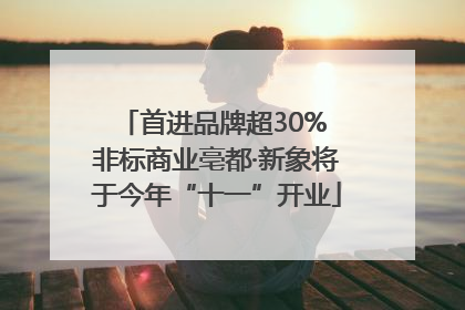 首进品牌超30% 非标商业亳都·新象将于今年“十一”开业