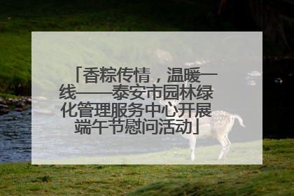 香粽传情，温暖一线——泰安市园林绿化管理服务中心开展端午节慰问活动