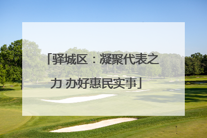 驿城区：凝聚代表之力 办好惠民实事