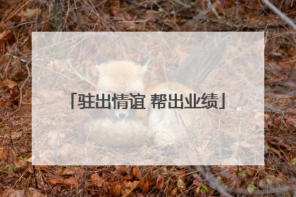 驻出情谊 帮出业绩