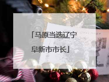 马原当选辽宁阜新市市长