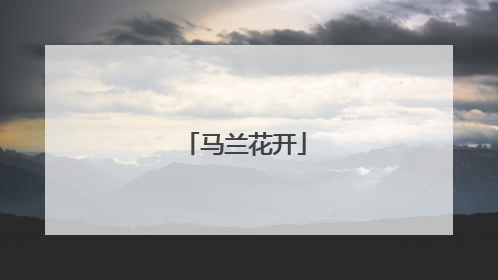 马兰花开