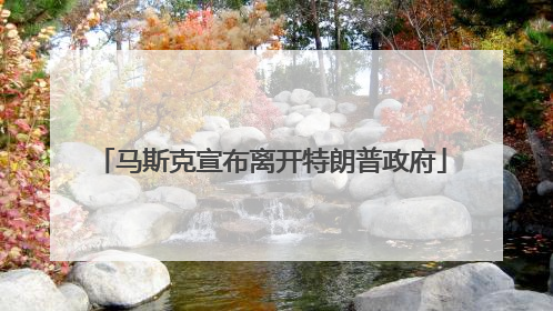 马斯克宣布离开特朗普政府
