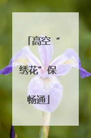 高空“绣花”保畅通