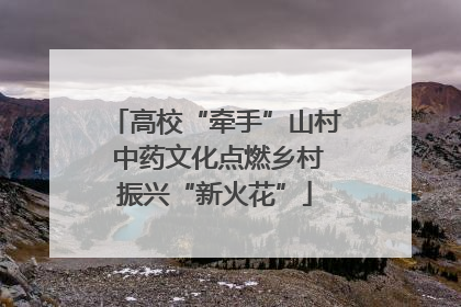 高校“牵手”山村 中药文化点燃乡村振兴“新火花”