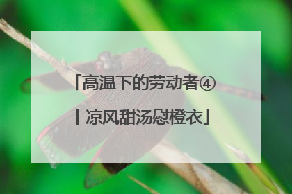 高温下的劳动者④丨凉风甜汤慰橙衣
