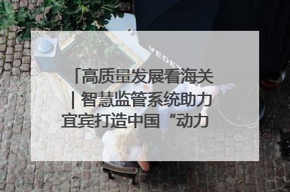 高质量发展看海关｜智慧监管系统助力宜宾打造中国“动力电池之都”