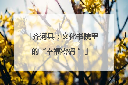 齐河县：文化书院里的“幸福密码 ”