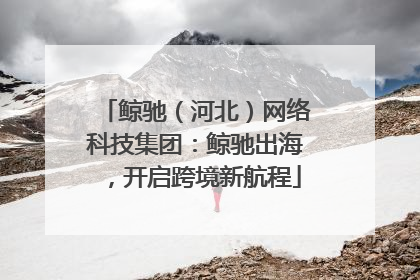 鲸驰（河北）网络科技集团：鲸驰出海，开启跨境新航程