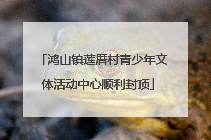 鸿山镇莲厝村青少年文体活动中心顺利封顶