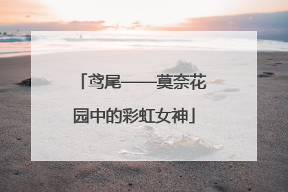 鸢尾——莫奈花园中的彩虹女神