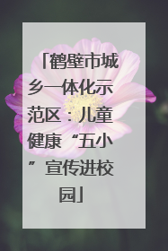 鹤壁市城乡一体化示范区：儿童健康“五小”宣传进校园