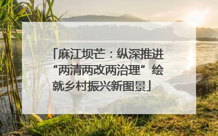 麻江坝芒：纵深推进“两清两改两治理”绘就乡村振兴新图景