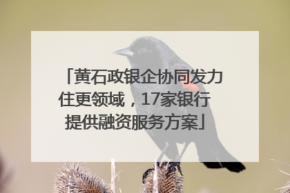 黄石政银企协同发力住更领域，17家银行提供融资服务方案