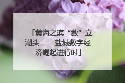 黄海之滨“数”立潮头——盐城数字经济崛起进行时