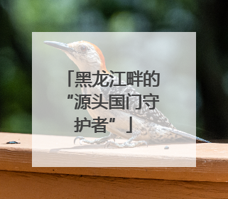 黑龙江畔的“源头国门守护者”