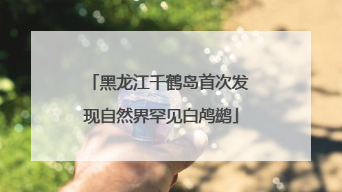 黑龙江千鹤岛首次发现自然界罕见白鸬鹚