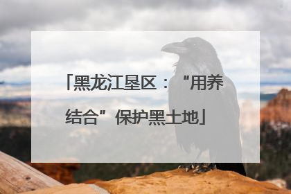 黑龙江垦区：“用养结合”保护黑土地